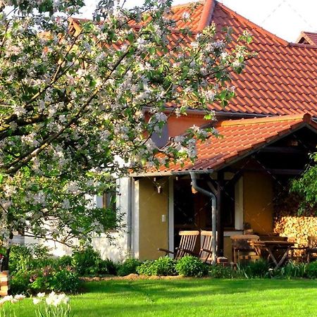 Janischs Fewo Im Spreewald, Terrasse, Grosser Garten Und Blick Inklusive Unterspreewald Exterior foto