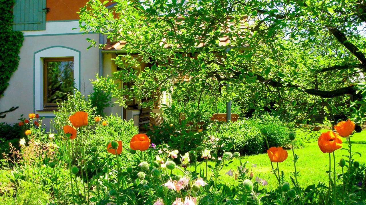 Janischs Fewo Im Spreewald, Terrasse, Grosser Garten Und Blick Inklusive Unterspreewald Exterior foto