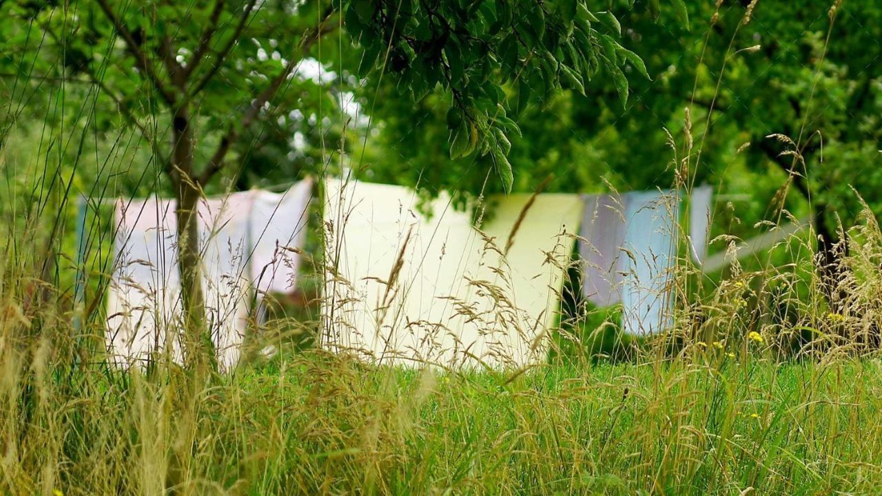 Janischs Fewo Im Spreewald, Terrasse, Grosser Garten Und Blick Inklusive Unterspreewald Exterior foto