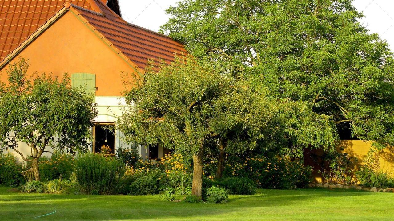 Janischs Fewo Im Spreewald, Terrasse, Grosser Garten Und Blick Inklusive Unterspreewald Exterior foto